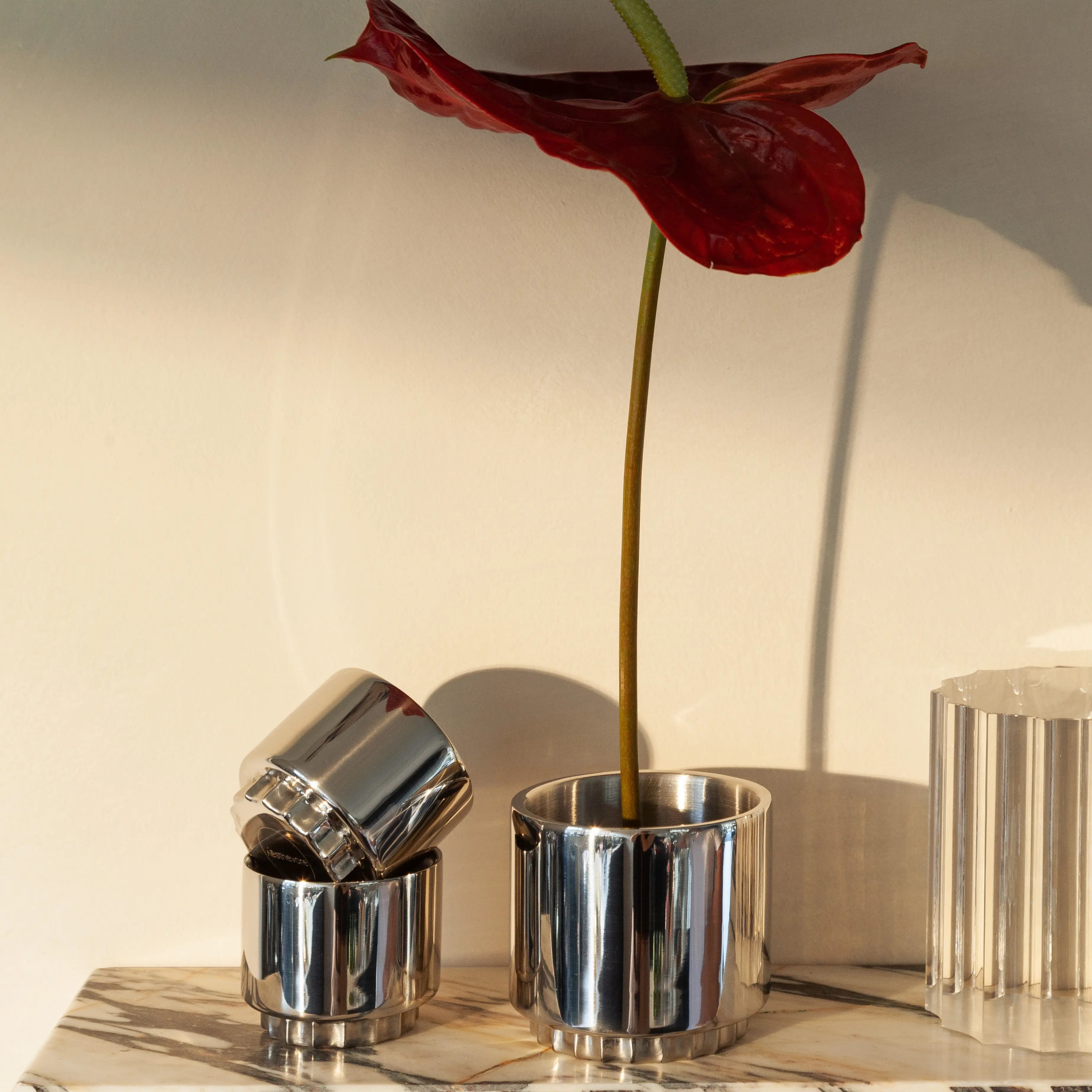 vita - steel cups magna polished