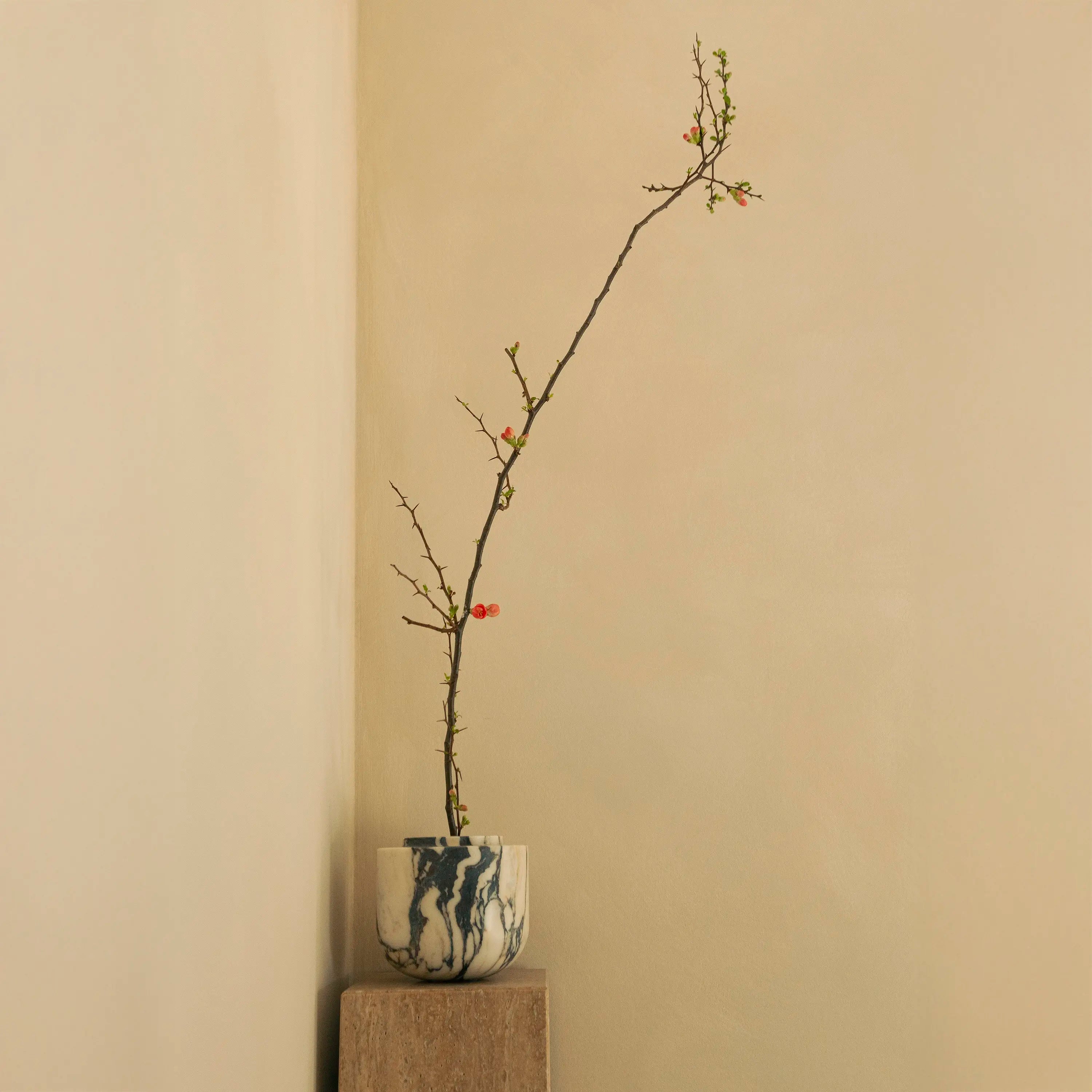 metropolis - noce travertin piedestal