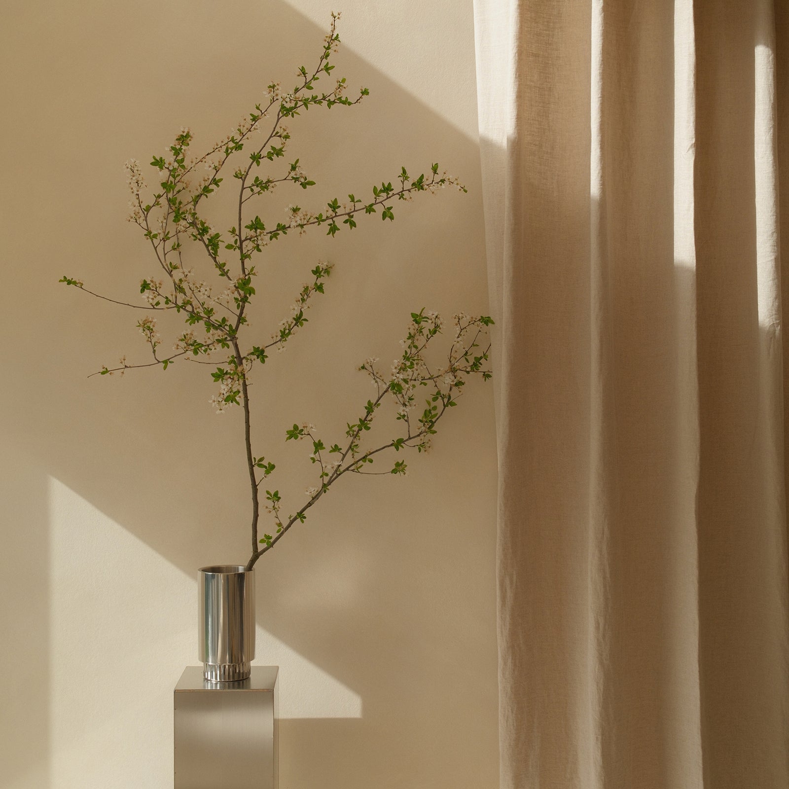 vita - edelstahl vase & weinkühler