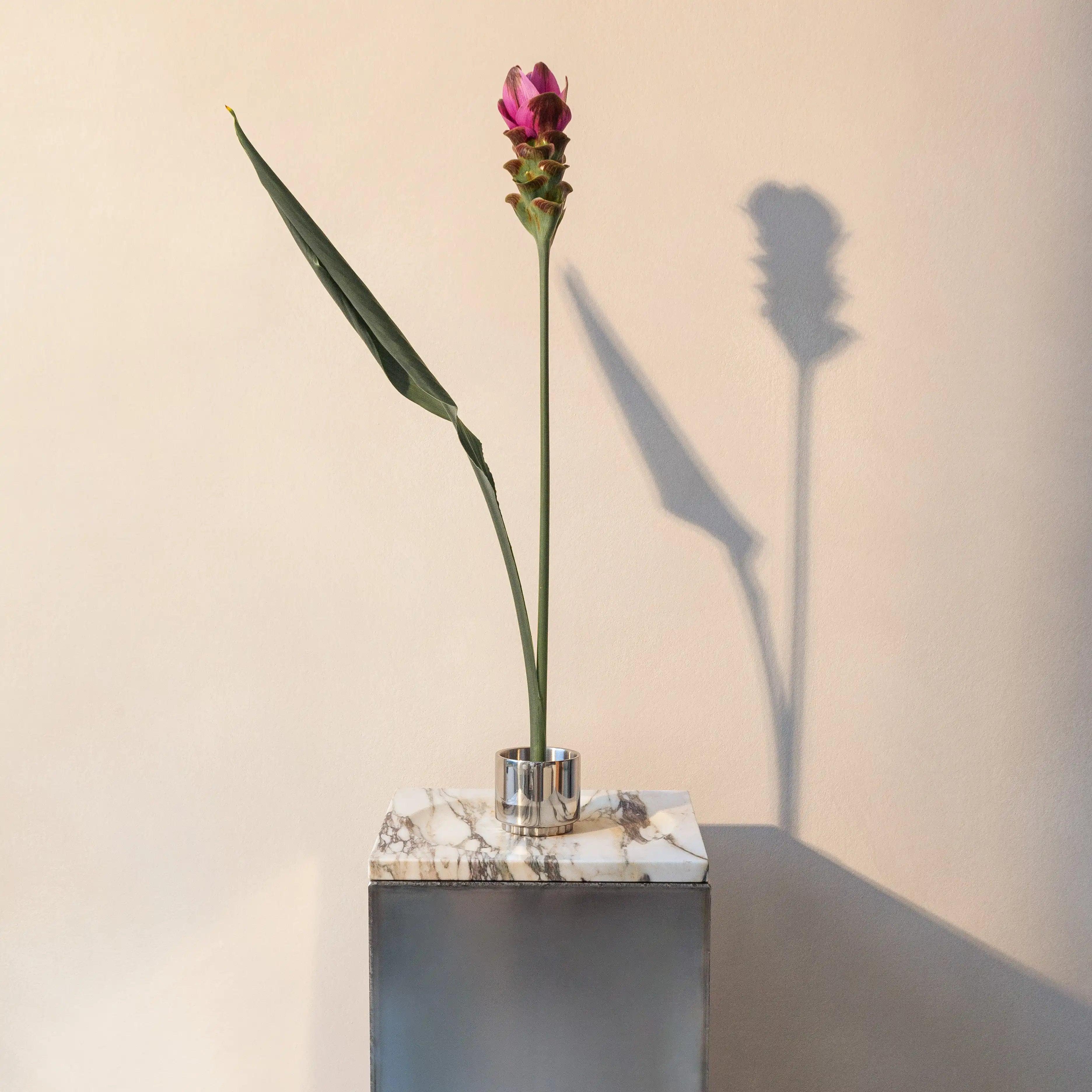 atrium center piece - viola calacatta marble