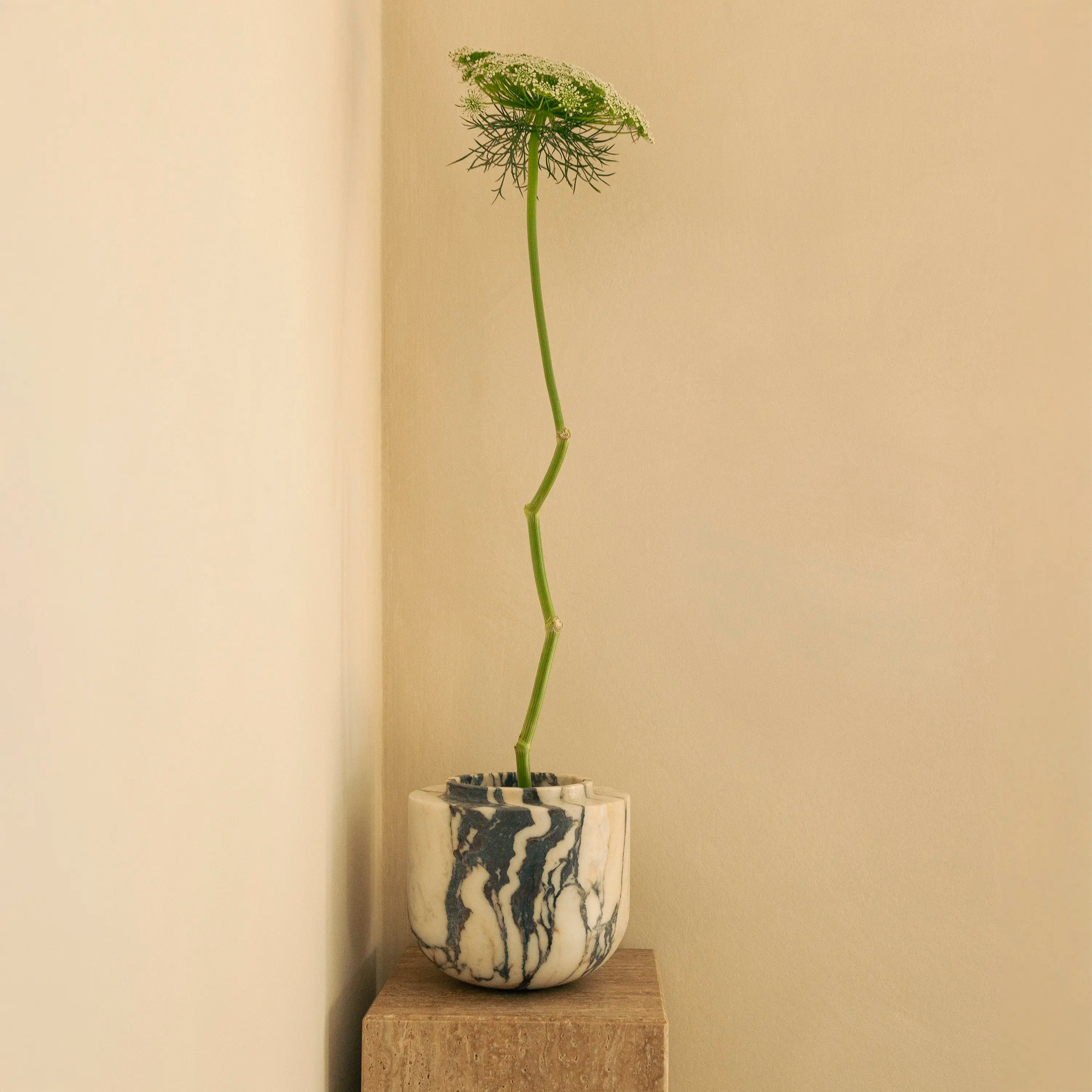 cupola vase - viola calacatta marble